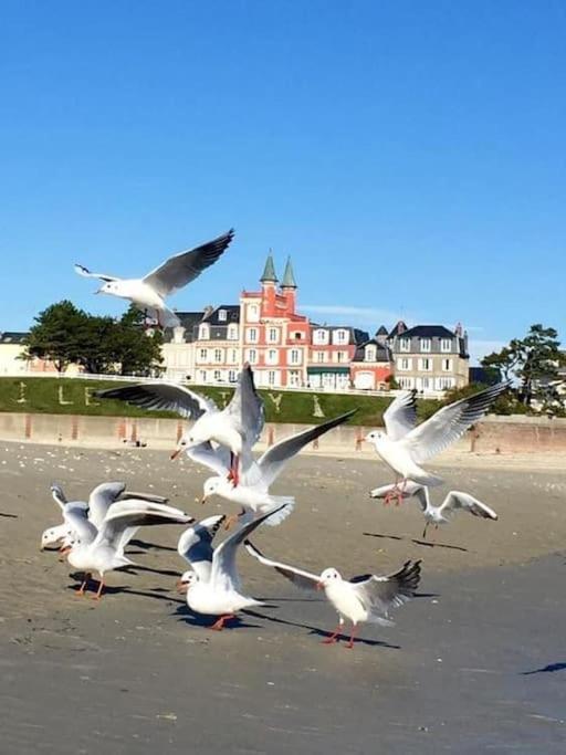 Les Pieds Dans Le Sable * Le Crotoy